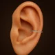 Conch