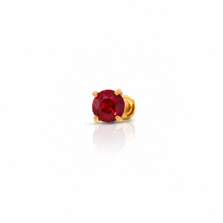 Jan Birthstone